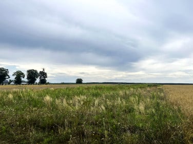 Działka Wawelno
