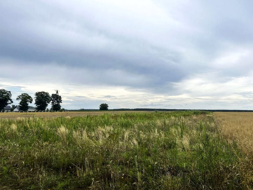 Działka Wawelno