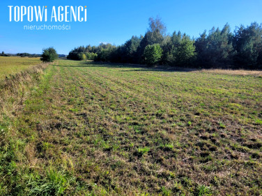 Działka Wola Krakowiańska