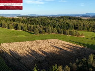 Działka budowlana Niwa