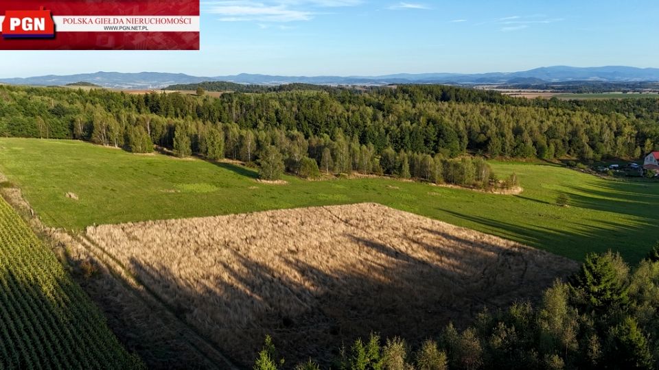 Działka budowlana Niwa