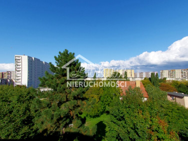 Mieszkanie Szczecin