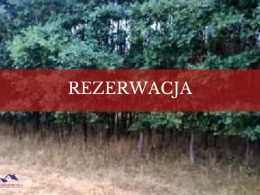 Zabudowana działka Mędrzechów