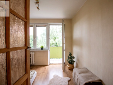 Mieszkanie Elbląg sprzedaż