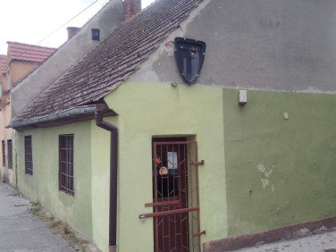 Mieszkanie Wilczków