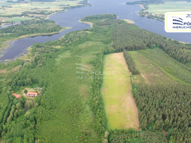 Działka leśna Makosieje
