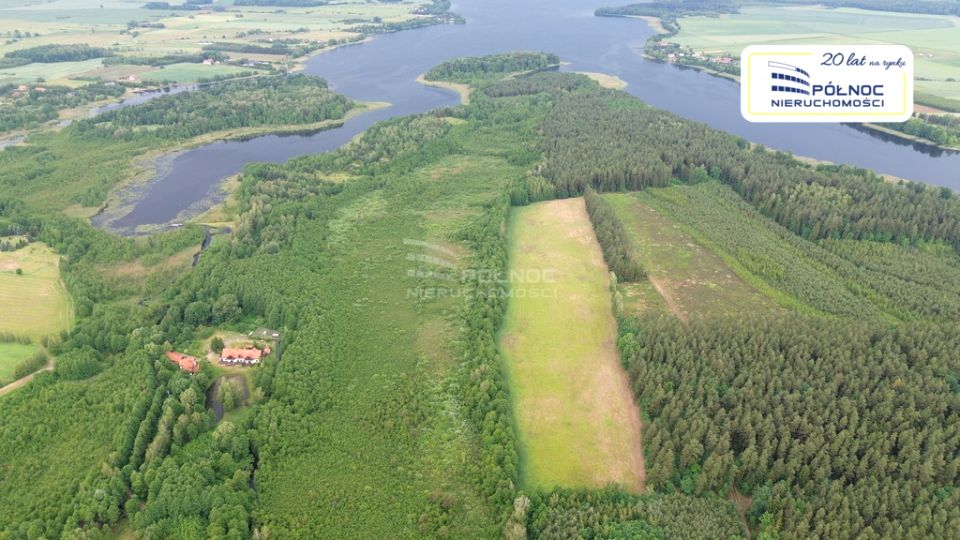Działka leśna Makosieje