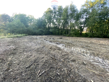 Działka przy lesie