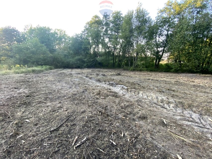 Działka przy lesie