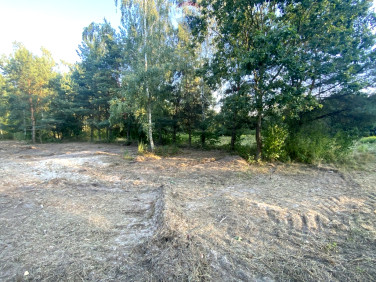 Działka Książenice