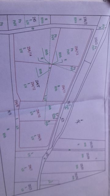 Działka siedliskowa Stara Kamienica