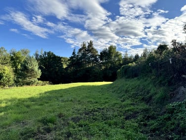 Działka Mników