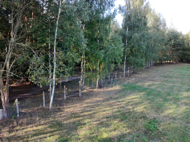 Działka Złotokłos