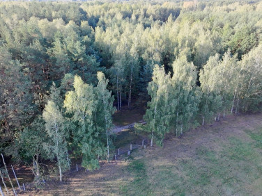 Działka budowlana Złotokłos