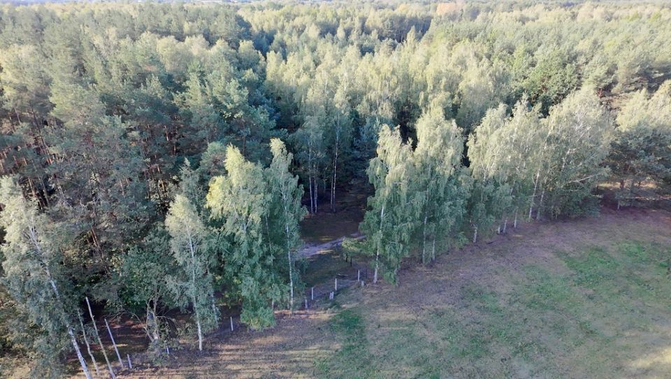 Działka budowlana Złotokłos