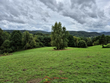 Działka Tarnawa