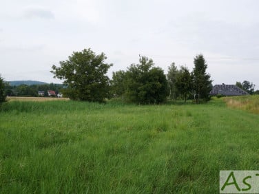 Działka Brzezie