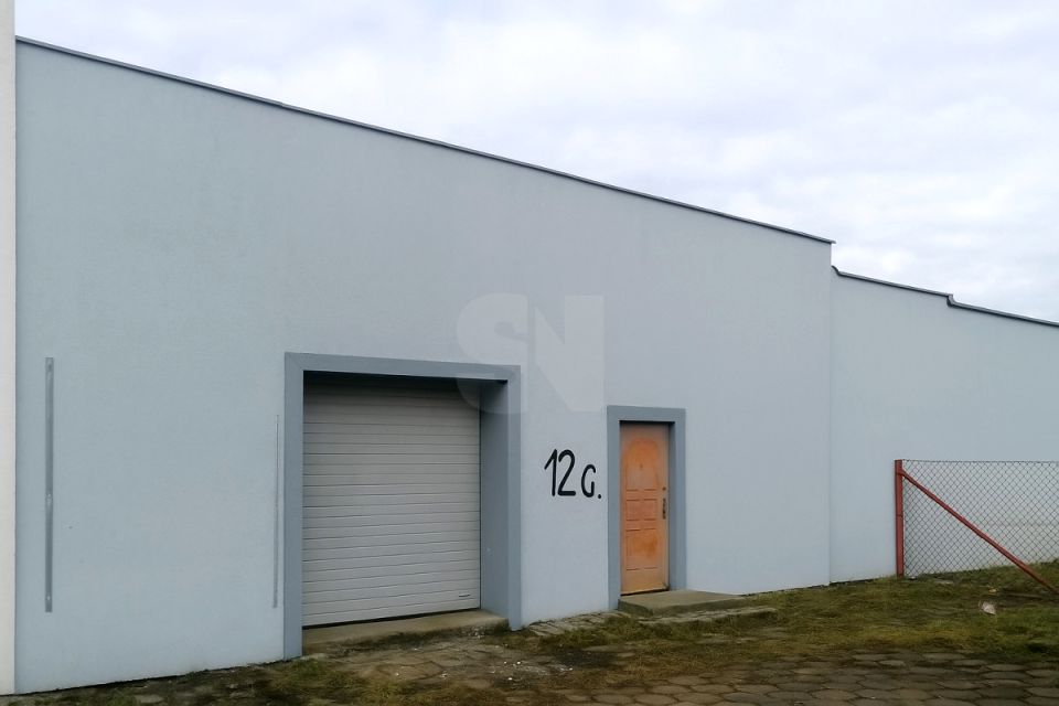 Lokal Gronowo Elbląskie
