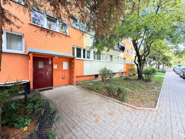 Mieszkanie przy lesie