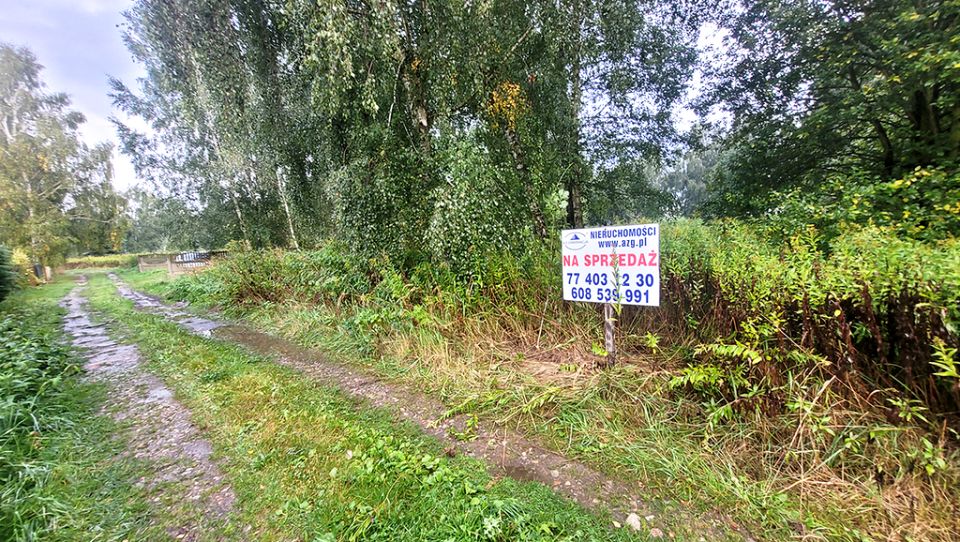 Działka rekreacyjna Biskupice
