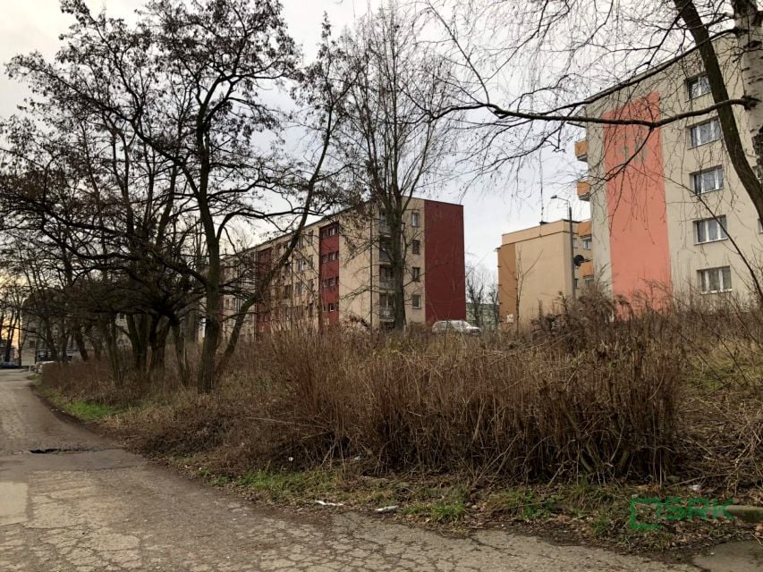 Zdjęcie 3
