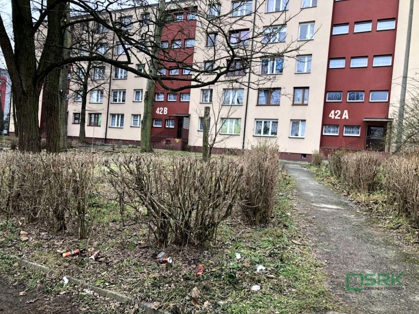 Zdjęcie 2