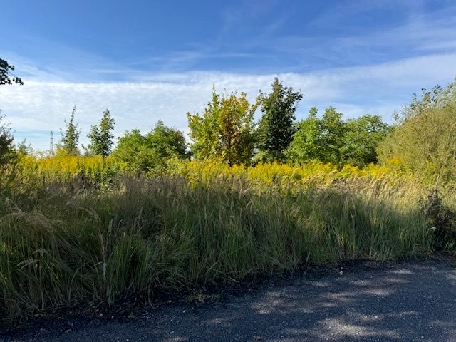 Działka budowlana Poznań