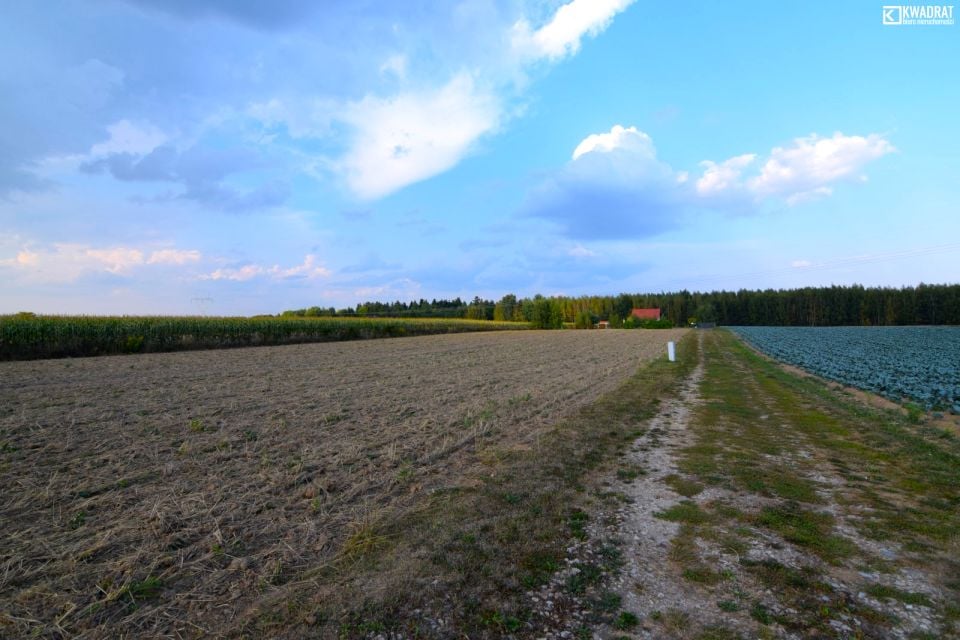 Działka Motycz
