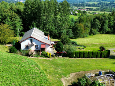 Dom Strzeszyn sprzedaż