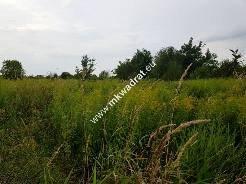 Działka Brwinów