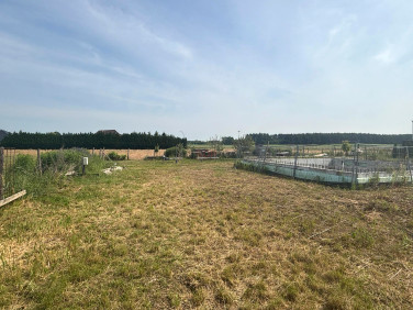 Dom wolnostojący sprzedaż