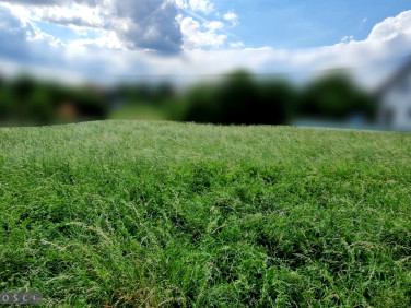 Działka usługowa Karniowice