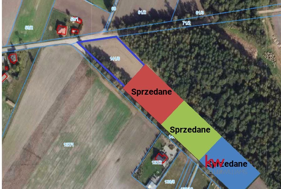 Zdjęcie 3