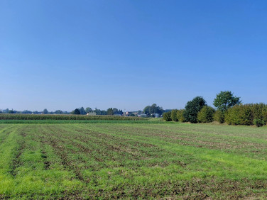 Działka budowlano-rolna sprzedam
