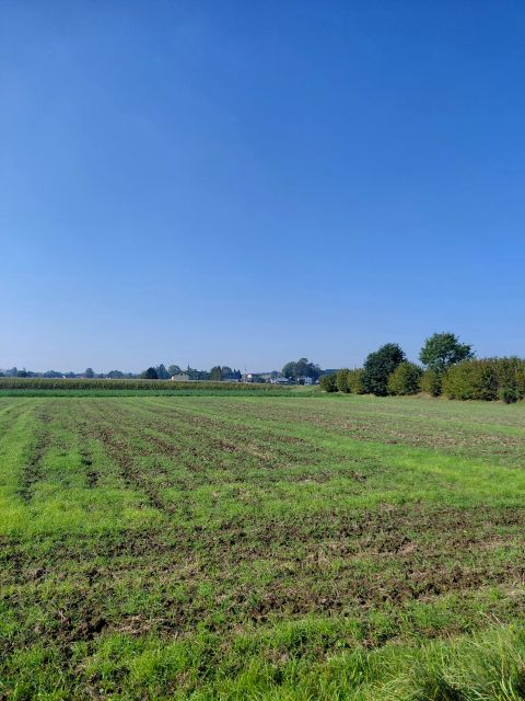 Działka budowlano-rolna sprzedam