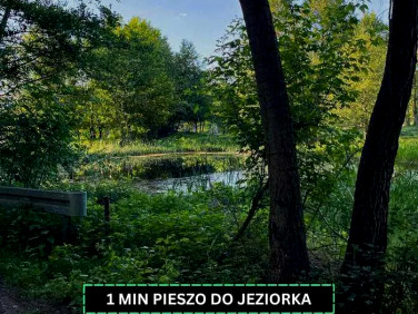 Działka siedliskowa Cieciszew