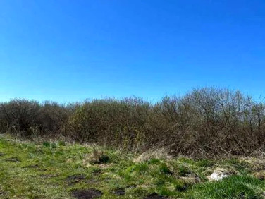 Działka siedliskowa Połczyno