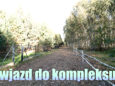 Działka Strzyżewo Paczkowe