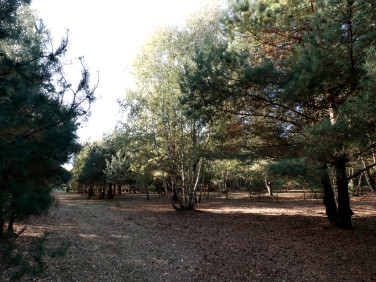 Działka budowlana sprzedam