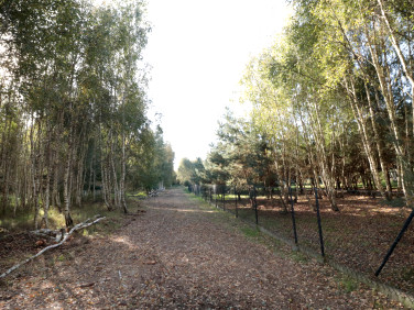 Działka budowlana Strzyżewo Paczkowe sprzedam