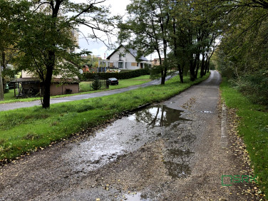 Działka Jankowice