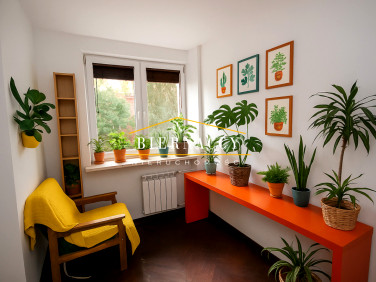 Mieszkanie blok mieszkalny wynajem