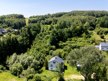 Dom Przedmieście Dubieckie