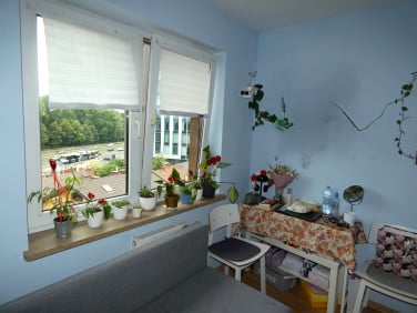 Mieszkanie Kraków