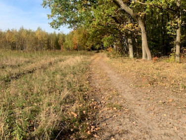 Działka inna sprzedam