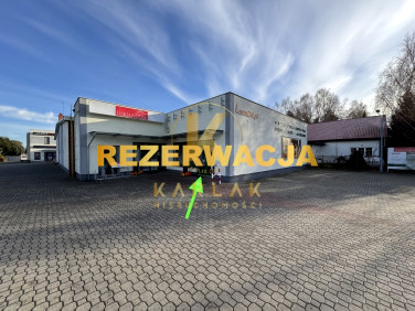 Lokal Zbrudzewo