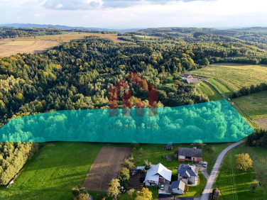 Zalesiona działka Wielopole Skrzyńskie