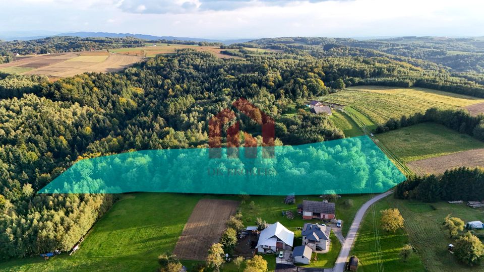 Zalesiona działka Wielopole Skrzyńskie