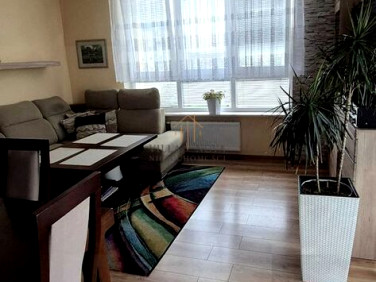Mieszkanie Wrocław