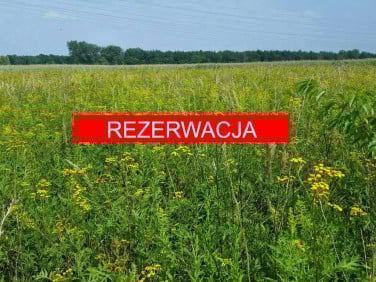 Działka Kędzierzyn-Koźle